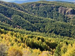 -苏木山森林公园