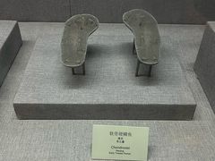 -烟台自然博物馆