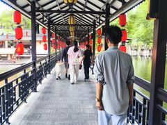 -侨美·唐荔园·40年地道粤菜