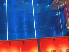 -杨记齐齐哈尔烤肉(总店)