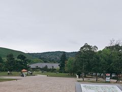 -奈良公园