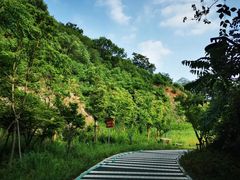 -镇江市南山风景名胜区竹林景区