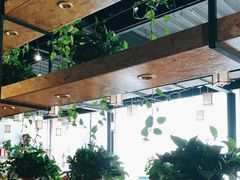 -桃源村铁锅炖鱼(体育馆道店)