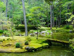 -西芳寺(苔寺)