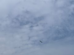 -西湖游船