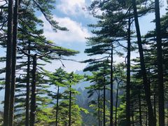 -黄山风景区