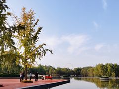 -西安浐灞国家湿地公园