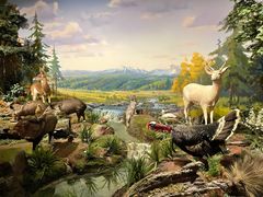 -陕西自然博物馆