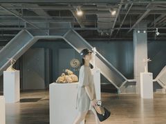 -凤凰中心