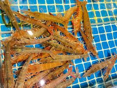 -三亚火车头万人海鲜广场