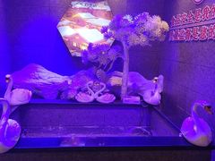 -营信刘罗锅铁锅炖(建华店)