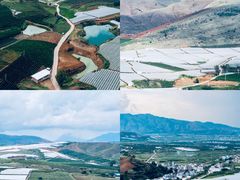 -百果园(大冲店)
