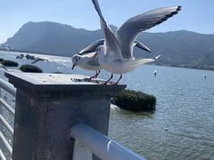 -昆明洲际酒店