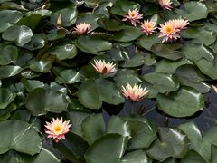 -清溪水库