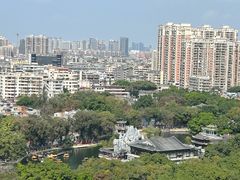 -荔湾湖公园