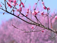 -崔岗艺术村
