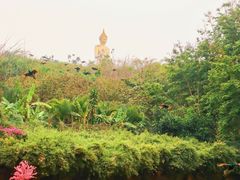 -西双版纳勐泐文化旅游区