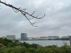 -立新湖公园