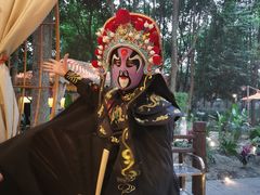 -二荆条·蜀鲜汇城市森林火锅