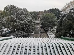 -趵突泉景区