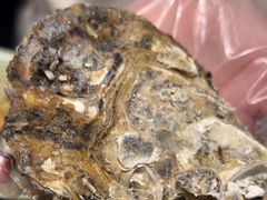 -盛江山自助料理(奥莱锦辉购物广场店)