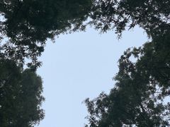 -上海怡沁园度假酒店