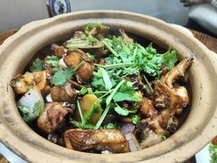 -广宁炭炉鸡煲·富临门饭店