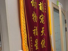 -瑞鹏宠物医院·骨外科·心肾科·肿瘤科(九亭店)