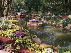 -上海共青森林公园