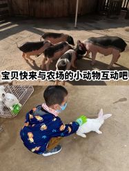 -前小桔亲子创意农场·草莓采摘·露营烧烤