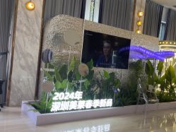 -深圳美莱医疗美容医院