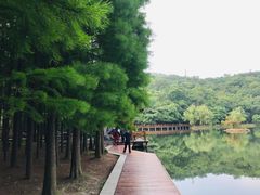 -采石矶景区