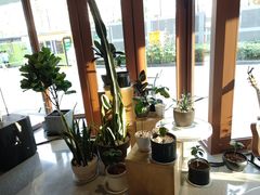 -sugarman espresso素饮糖人高新咖啡工厂