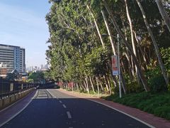 -仙岳公园