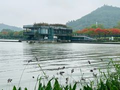 -顺峰山公园