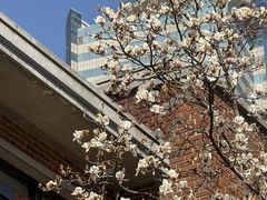 -梦菲思饼屋(瑞金宾馆店)