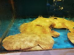 -北塘海鲜·天津菜(大光明桥旗舰店)