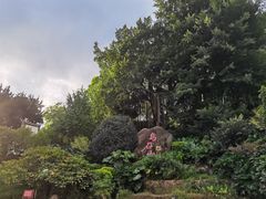 -乌山风景区