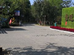 -大兴滨河森林公园