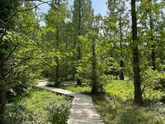 -国家植物园南园