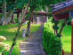 -珠海圆明新园