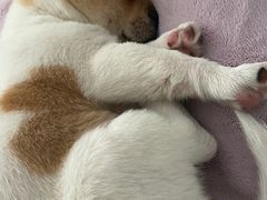 -佳雯宠物医院(金华南路分院)