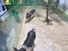 -梦幻海洋王国(吾悦广场张家港店)