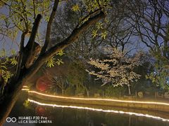 -鲁迅公园-垂钓中心