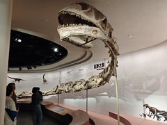 -自贡恐龙博物馆