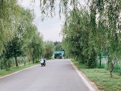 -同里国家湿地公园