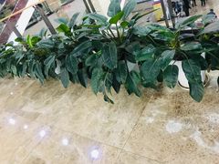 -重庆医科大学附属第一医院(本部)