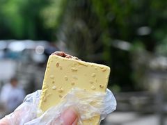 -蔺大妈松花糕