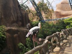 -芽庄珍珠岛游乐园