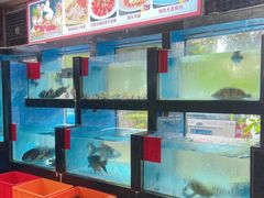 水产区-肥仔顺德菜(龙悦居店)